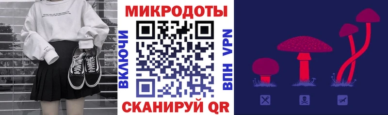 Купить где  Алзамай  Псилоцибиновые грибы мицелий 